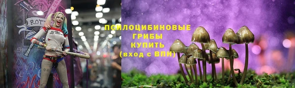 кокс Корсаков