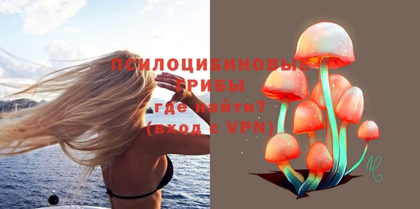 кокс Корсаков
