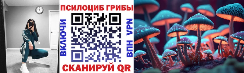 Купить закладки  Ленинск  Псилоцибиновые грибы GOLDEN TEACHER 